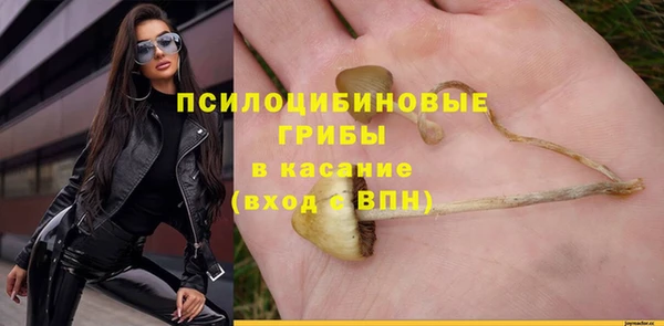 spice Алексин