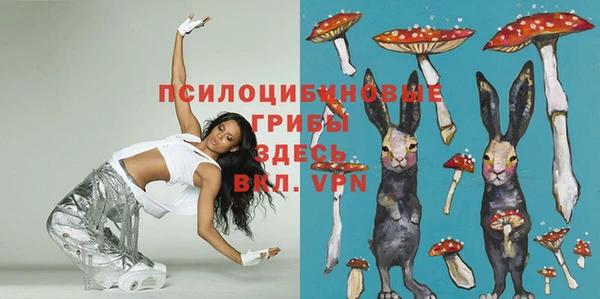 spice Алексин