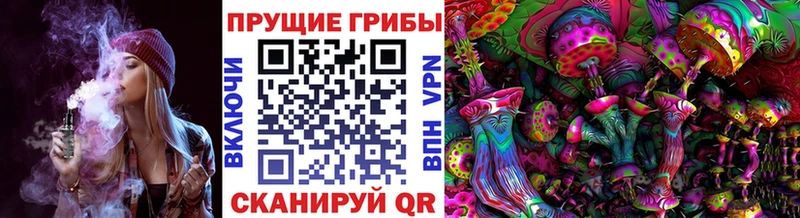 Псилоцибиновые грибы мухоморы  Тогучин 